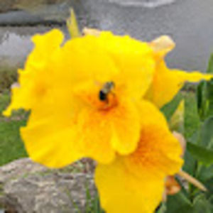 Meet your Posher, Malika